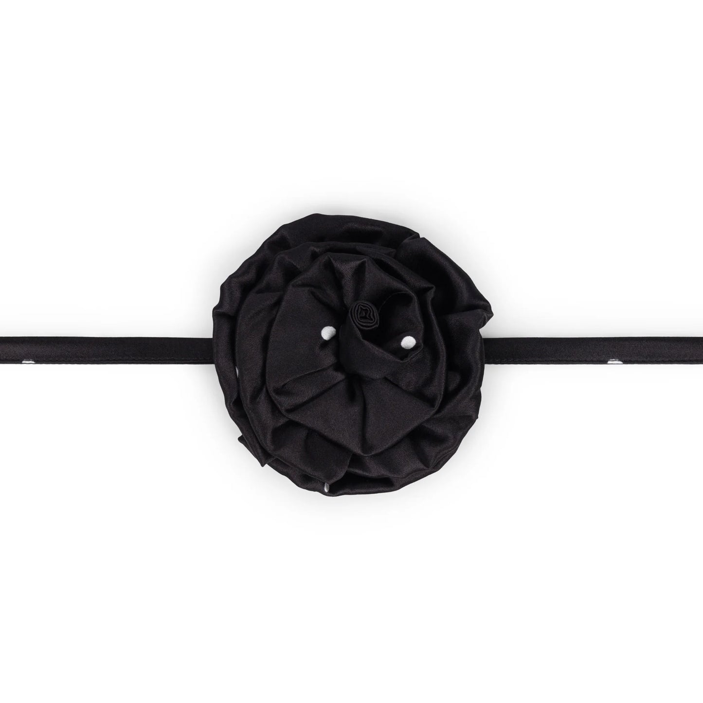 Polkadot rosette tie